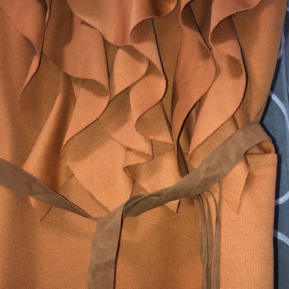 Brown Ruffle Dress - Picture 3 of 4